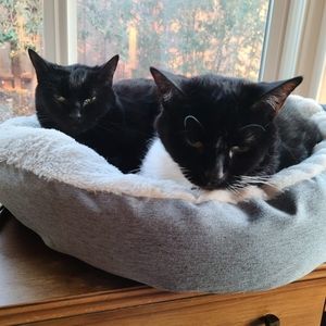 Meet your Posher, Barbara